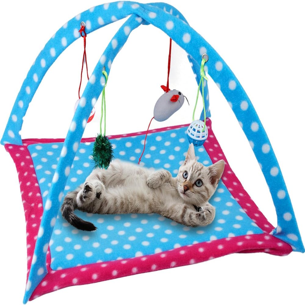 Tente Chat - CatTent™ - Pois Bleu - Planete Du Chat